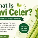 What Is Pravi Celer? Meaning Uses and Simple Benefits