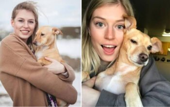 Jenna Phipps Net Worth: Inside Her YouTube Income and Success Story