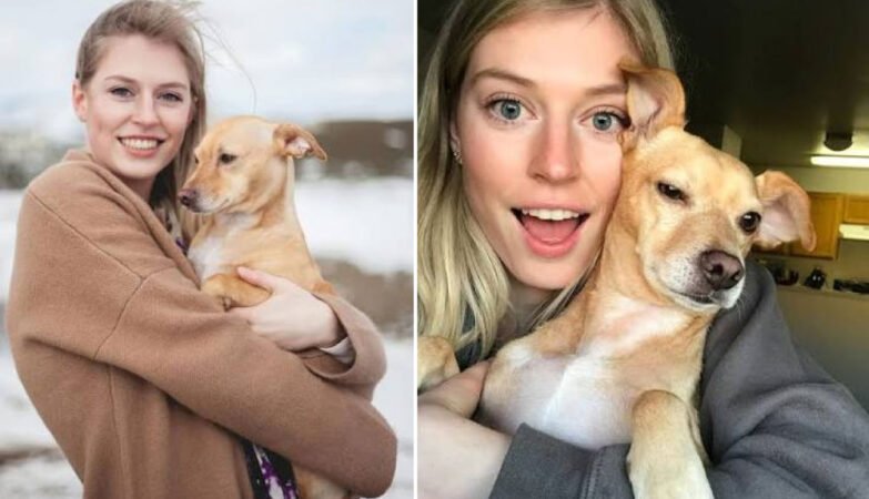 Jenna Phipps Net Worth: Inside Her YouTube Income and Success Story
