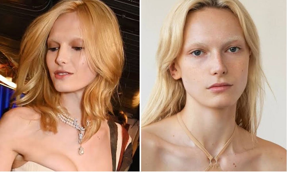 Alex Consani Net Worth: Her Modeling Success and Income