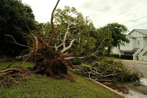 After the Storm: The Hidden Damage Your Home May Be Hiding