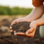 Soil Treatment Strategies
