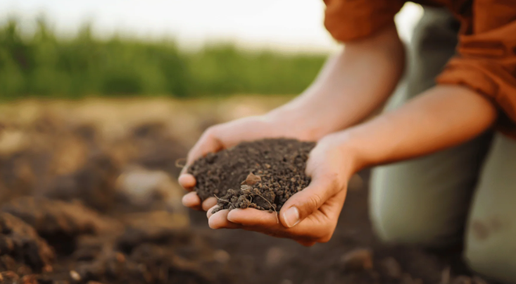 Soil Treatment Strategies