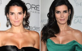 Angie Harmon Net Worth: Salary, Career, Income, and Wealth