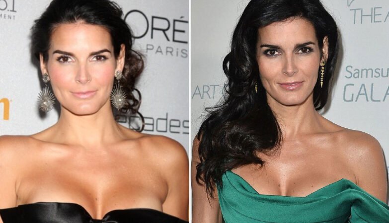 Angie Harmon Net Worth: Salary, Career, Income, and Wealth