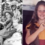 Carrie Beth Van Dyke: The Full Story of Dick Van Dyke’s Daughter