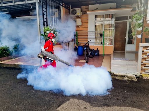 Why Pest Control Companies Need Smarter Marketing, Not Just More Ads